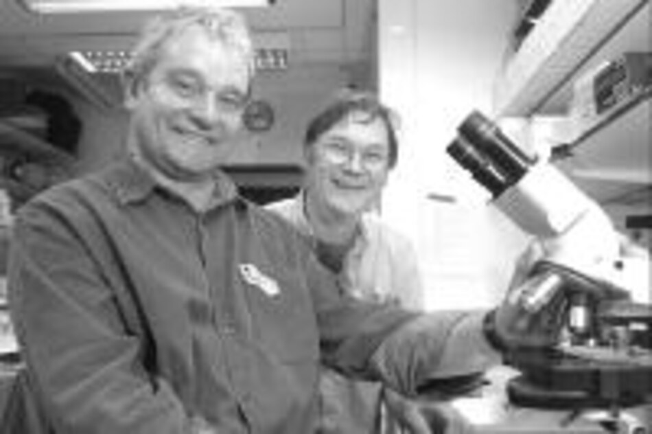 Científicos ingleses, en la gloria tras el Nobel