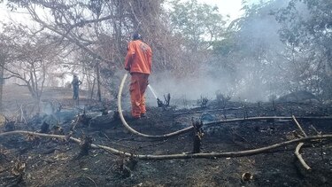 Incendio forestal acaba con 300 hectáreas de la meseta de Chorcha; falta 40% del fuego por controlar