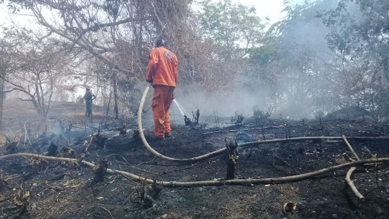Incendio forestal acaba con 300 hectáreas de la meseta de Chorcha; falta 40% del fuego por controlar