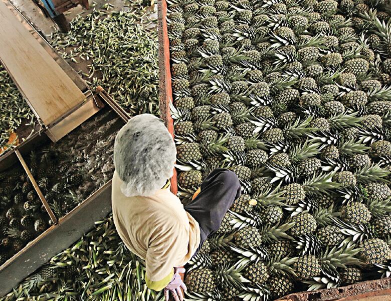 ¿Qué representa el Mercosur para Panamá?