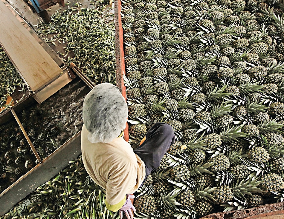 73% de exportadores en AL aumentará sus inversiones