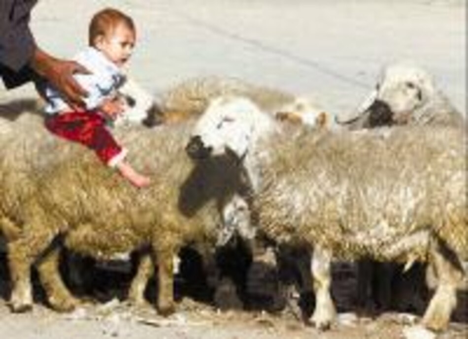 Prorrogan ventajas arancelarias