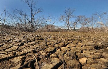 Impacto del calentamiento climático en el régimen alimentario podría causar 500 mil muertos en 2050
