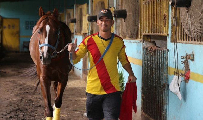 La curiosa vida de un mozo de corral en un hipódromo