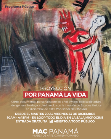 ‘Por Panamá la vida’, de Isabel De Obaldía, en el Museo de Arte Contemporáneo