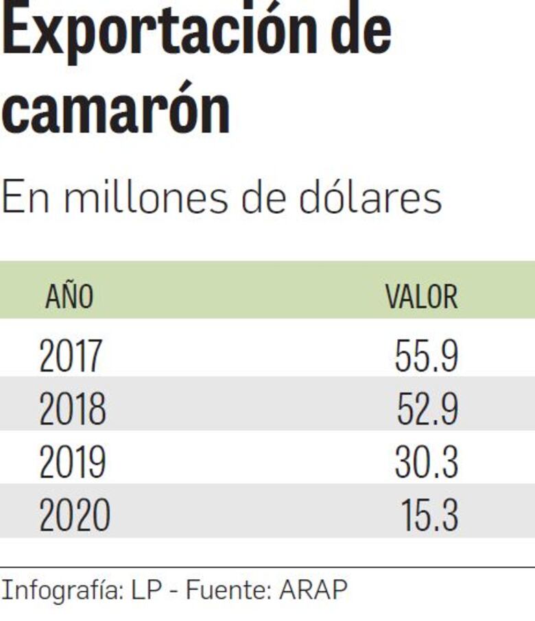 Cancelan licencias de pesca para proteger al camarón 