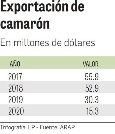 Cancelan licencias de pesca para proteger al camarón