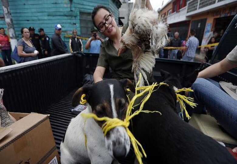 Guatemala: Disminuyen esperanzas de encontrar sobrevivientes