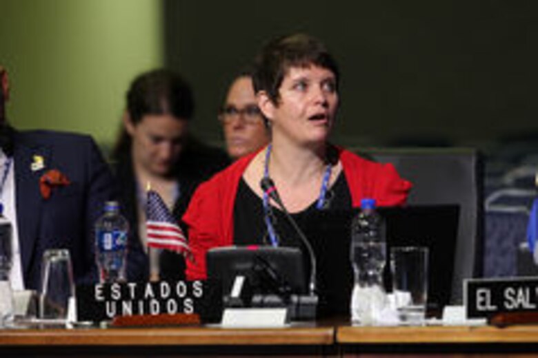 La OEA no logra articularse para fijar posición sobre la crisis de Venezuela