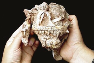 Harán subasta evolutiva en París