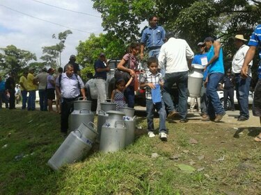 Arroceros dan plazo de dos meses al IMA para la compra de arroz