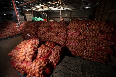 Inflación alimentaria desafía los logros de América Latina contra el hambre, alerta la FAO