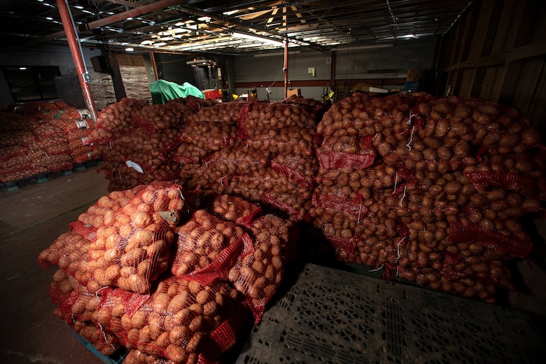 Escasez de papa nacional preocupa a consumidores: ¿qué está pasando?