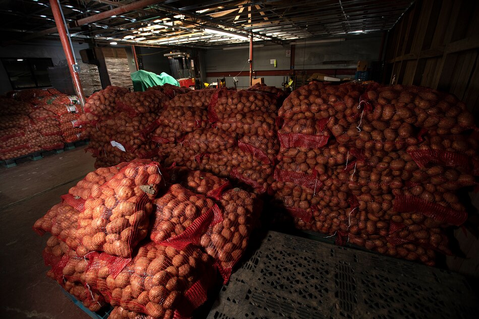 Inflación alimentaria desafía los logros de América Latina contra el hambre, alerta la FAO