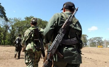 Liberan a funcionario de la ONU secuestrado por disidentes de FARC