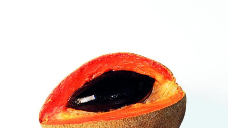 Nuevos compuestos contra alzhéimer