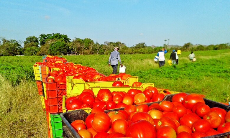 Cambios a ley de granos, en el limbo