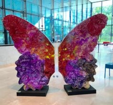 Una mariposa invita a la transformación y a la igualdad