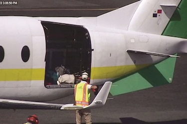 AAC: la turbulenta y peligrosa certificación de Bocas Air Company
