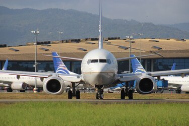 Emiten alerta a las aerolíneas por migración de aves en el Aeropuerto de Tocumen