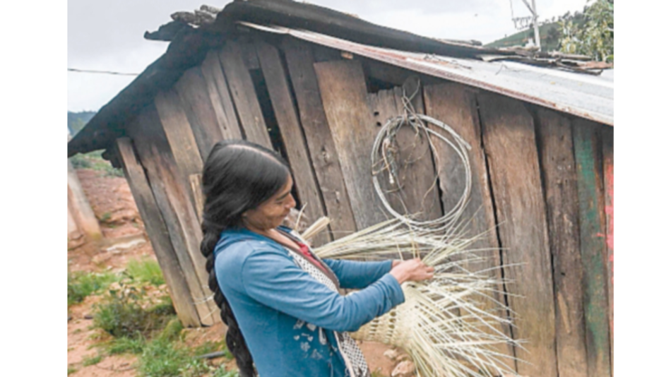 Hasta 115 millones de personas caerían enla pobreza extrema