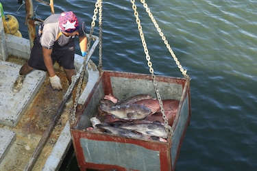 Estados Unidos asistirá a Panamá con apoyo técnico en la lucha contra la pesca ilegal