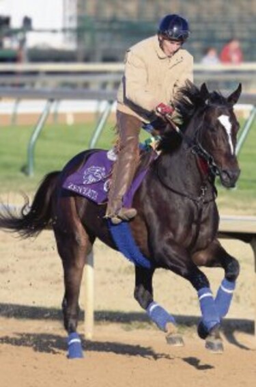‘Zenyatta’ busca hacer historia en la hípica