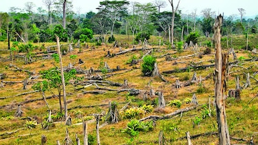 Protegerán la laguna de Matusagaratí
