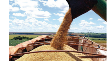 Corte brasileña revierte prohibición para glifosato