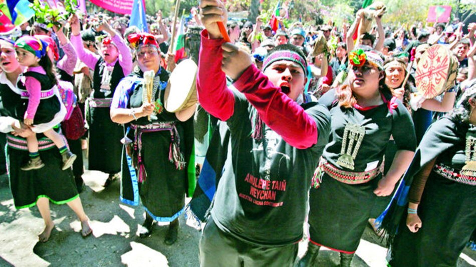 Indígenas amenazan industria forestal