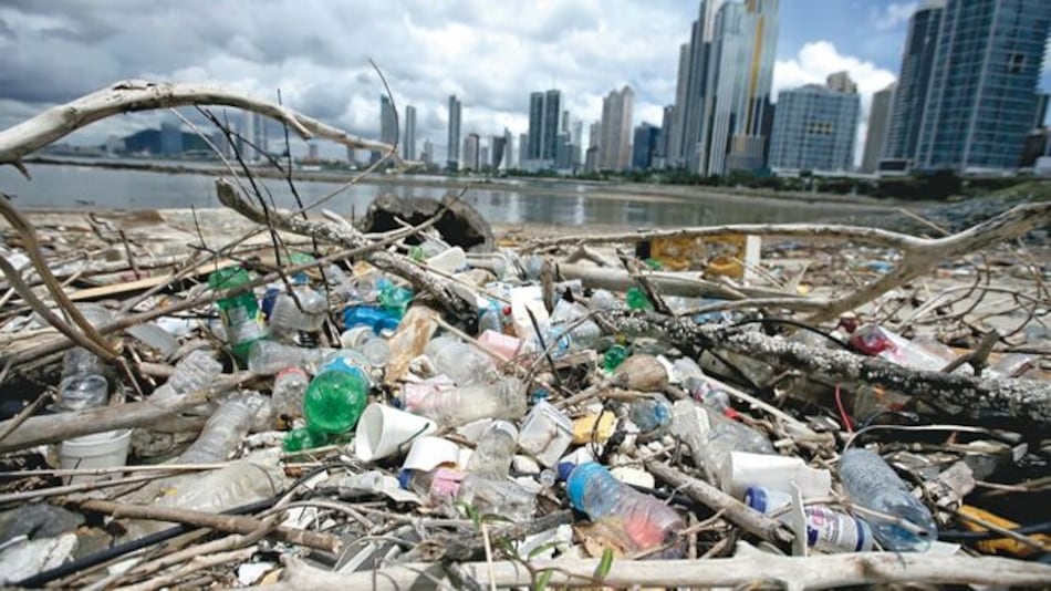 ¿Cómo salvar la bahía de Panamá?