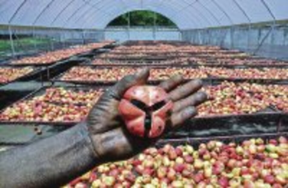 Los poderes del ‘akí’