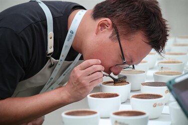 Panamá celebra una subasta electrónica con cafés de lujo partiendo de 100 dólares el kilo