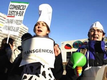 Cumbre de seguridad alimentaria arranca con advertencia