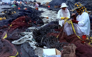 El tifón 'Soudelor' causa 12 muertos y 5 desaparecidos en China