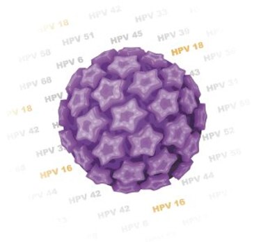 10 mitos sobre la transmisión del virus del papiloma humano