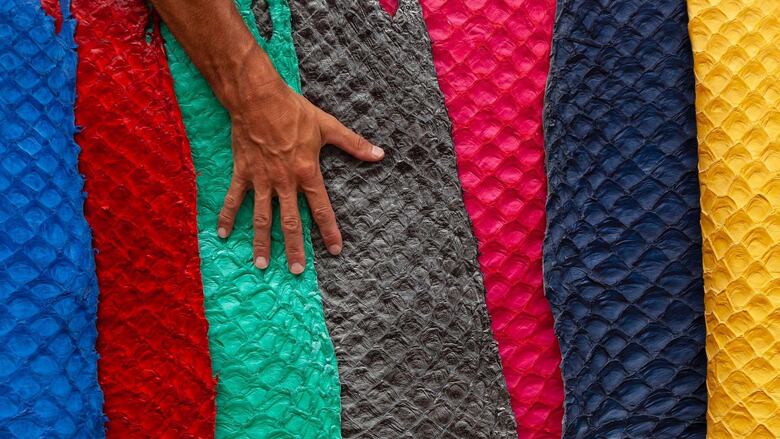 Pirarucu, el pez gigante del Amazonas usado para hacer prendas de lujo (y el reclamo de los pescadores para participar en las ganancias)