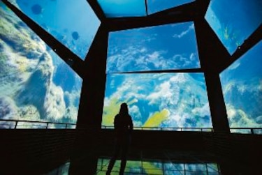 Al rescate de la memoria histórica