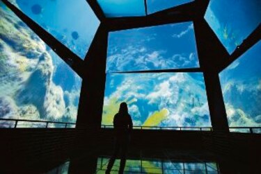 Al rescate de la memoria histórica