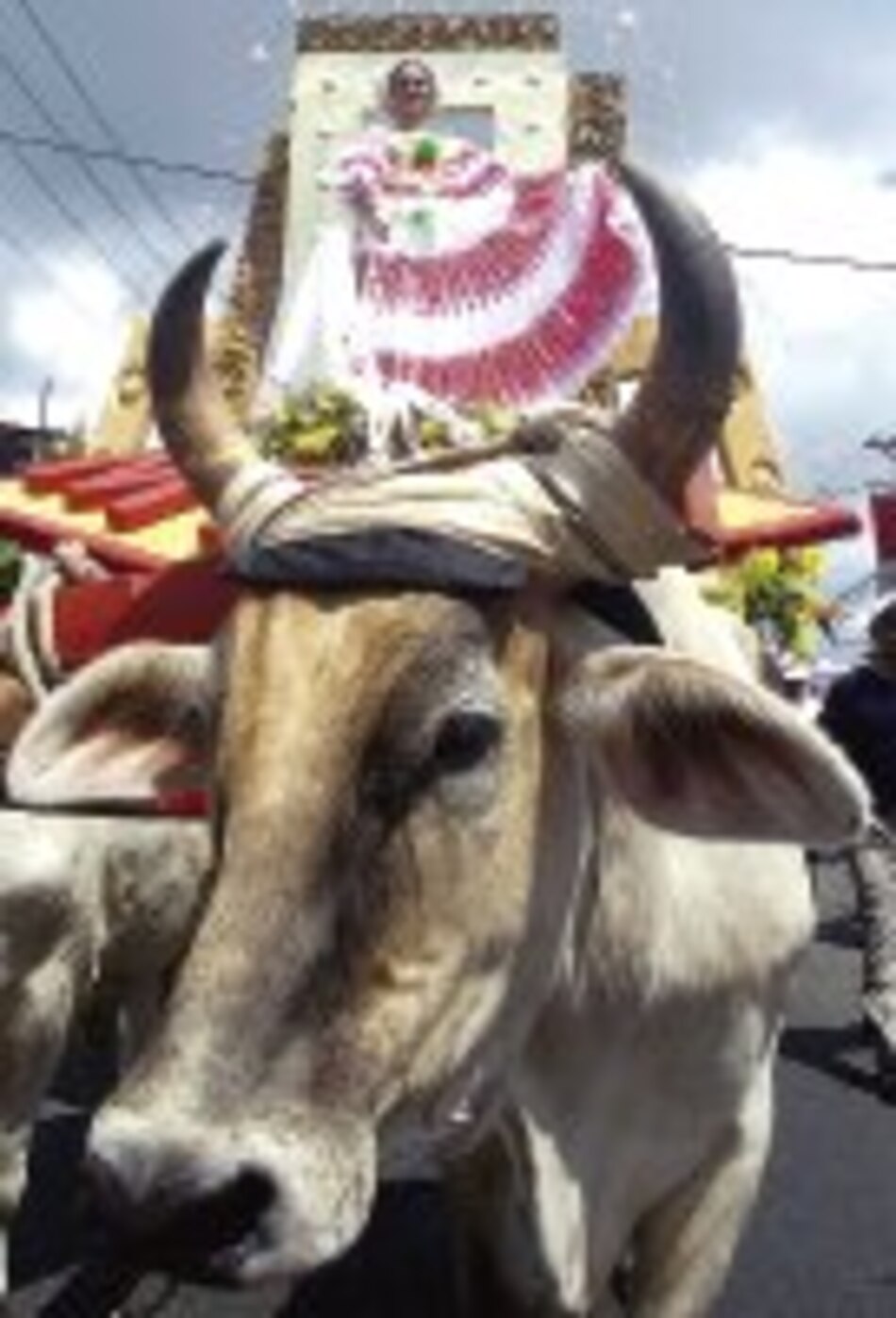 Tradiciones santeñas en la ciudad
