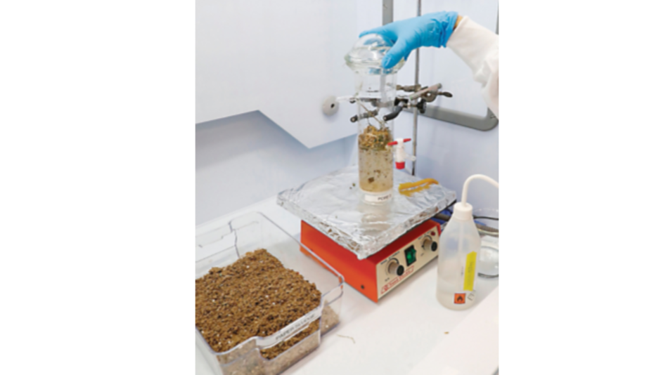 Científicos producen etanol a partir de residuos vegetales