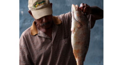 Pesca artesanal a orillas del Canal