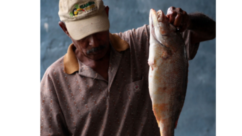 Pesca artesanal a orillas del Canal