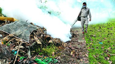 Realizan operativo de fumigación en Tocumen