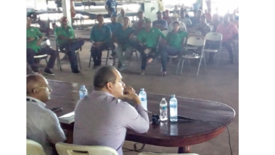 Madereros artesanales de Azuero se reunirán con ministro de Ambiente