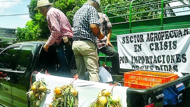 Posible veto parcial a ley de Aupsa inquieta a los productores
