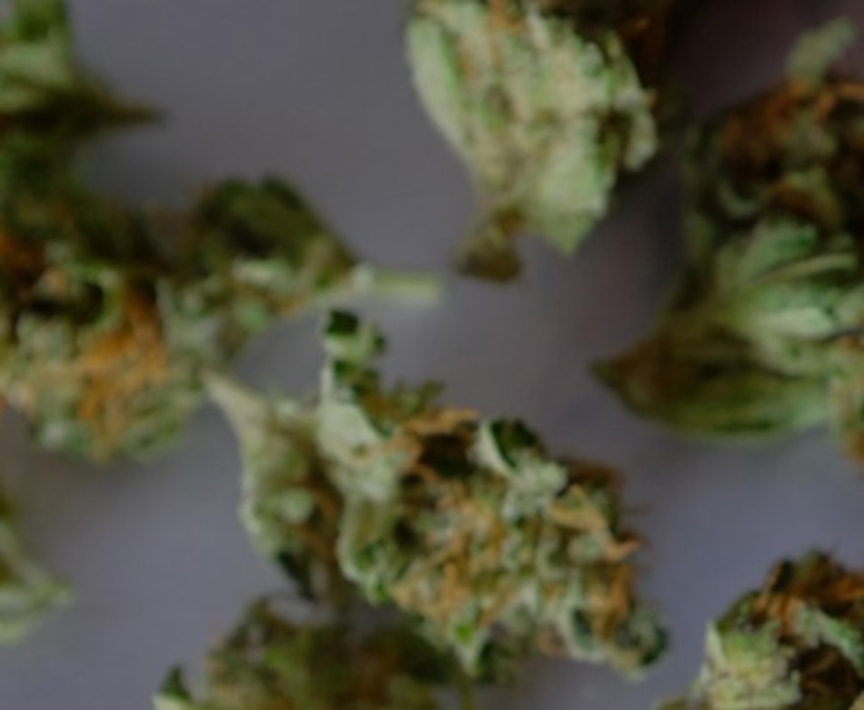 Reglamentan el uso medicinal del cannabis