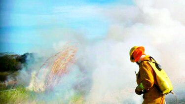 Incendios acaban con 300 hectáreas de pasto