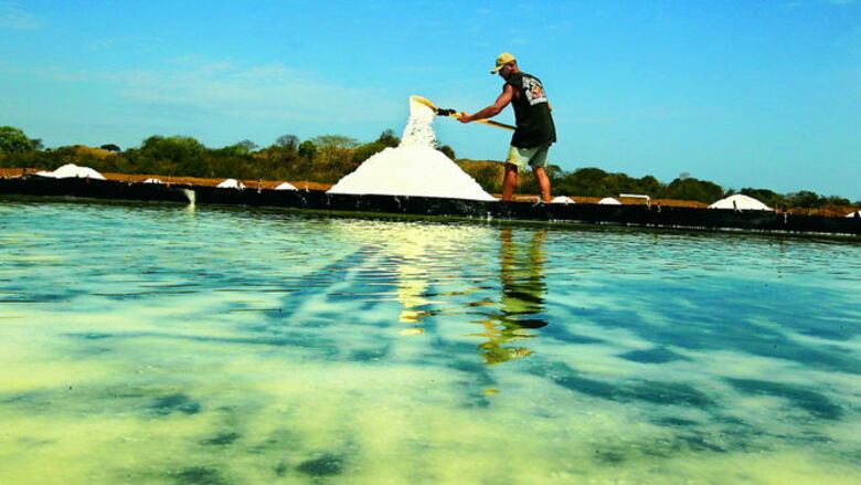 la sal brilla en la sequía