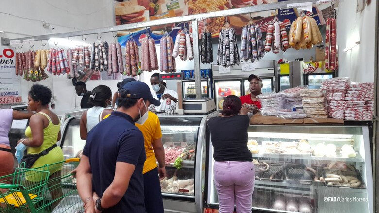 FAO advierte de la grave amenaza que representa la peste porcina africana en la región